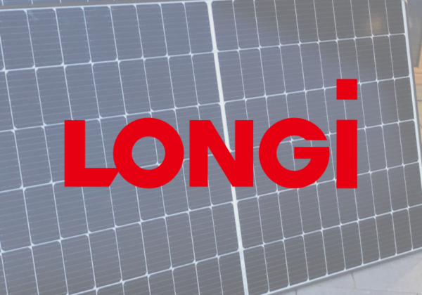 Longi 1 Longi 1